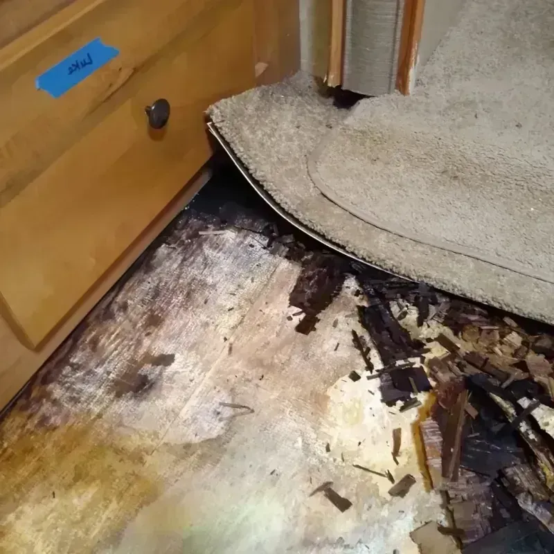 Wood Floor Water Damage in Brownsville, LA